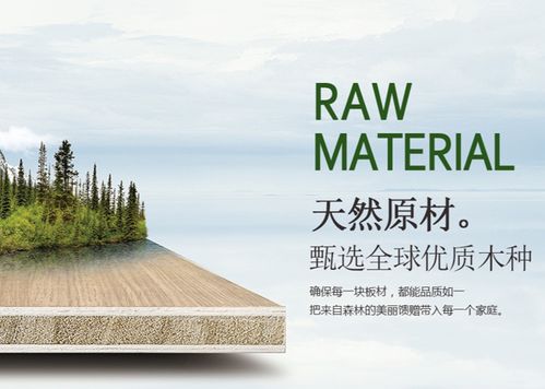 環保創新雙驅動，天山板材書寫發展輝煌新篇