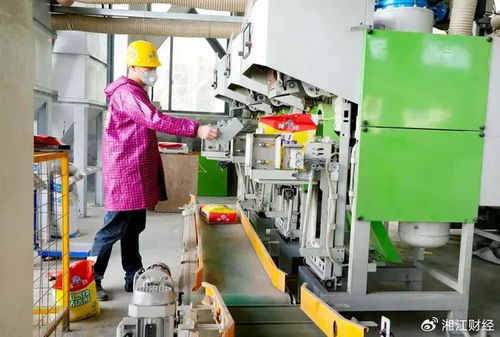 平江首屆貼磚大師技術交流會召開，聚焦環保砂漿技術開發與應用